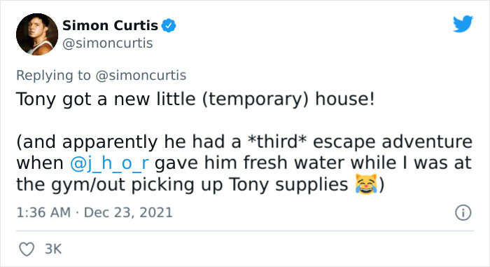 A Temporary Solution for the Frog Who Loves Adventures