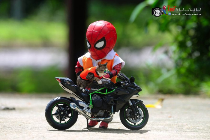 20. Tiny Rider