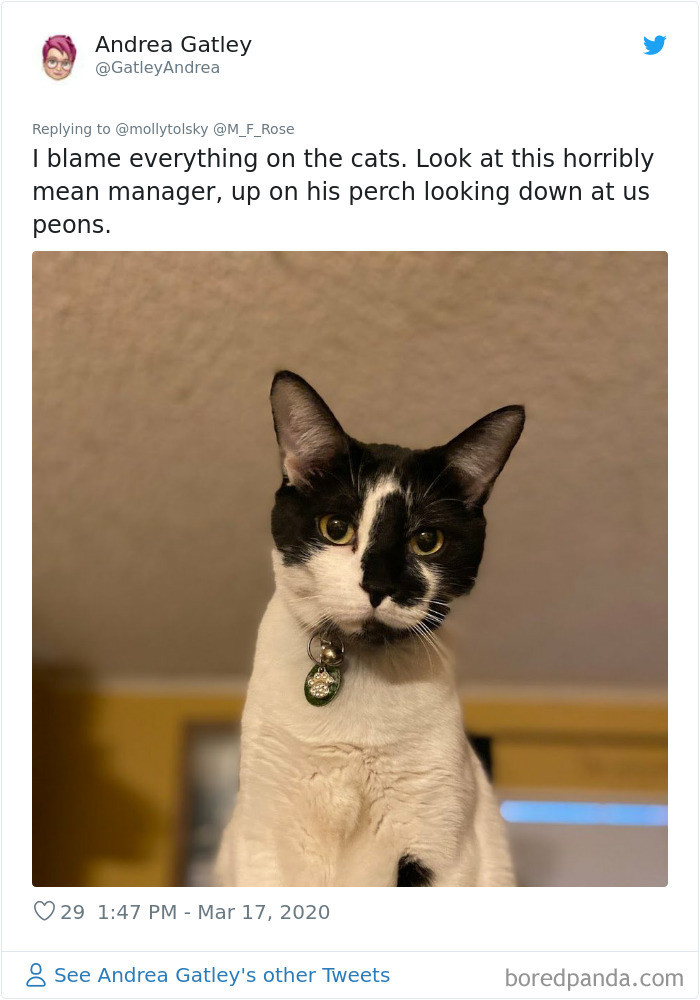 5. Mean manager.