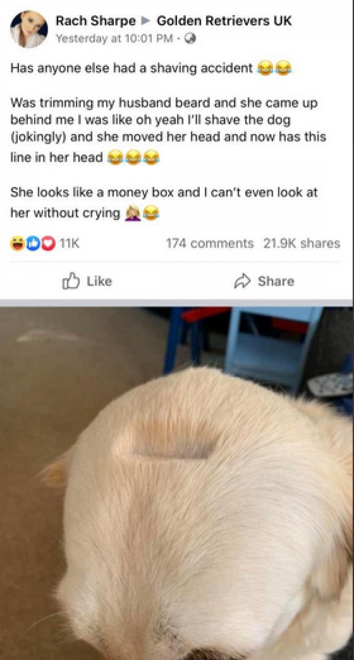 14. Mistakes were made.