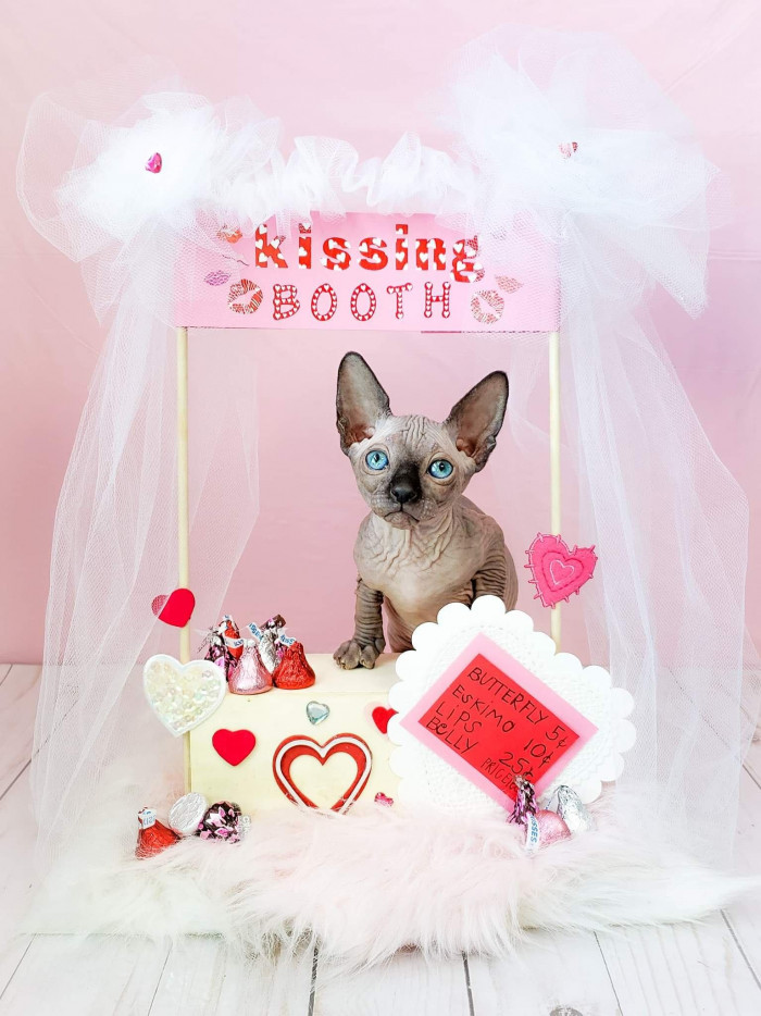 It's impawsible not to love.