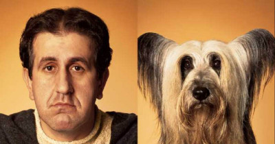 You're Bound To Relate To At Least One Of These Dogs Based On Their Style And Personality