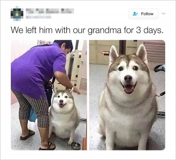 Grandmas can make anything bigger