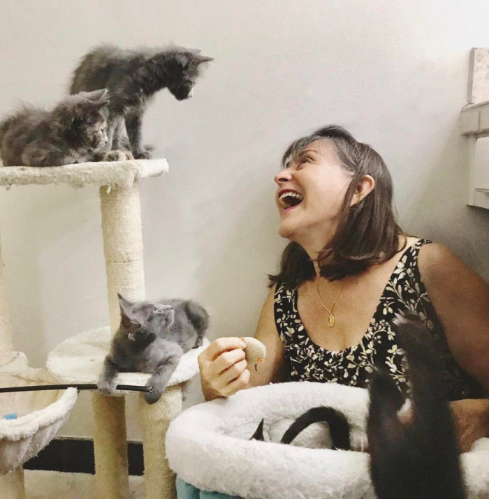 This person's mother enjoying her foster kittens