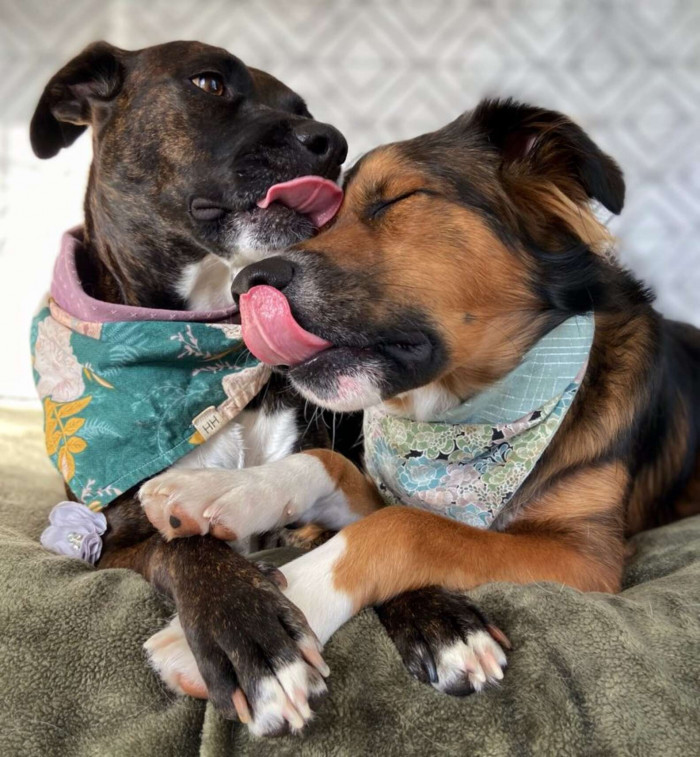 Ginnie with Her New Family