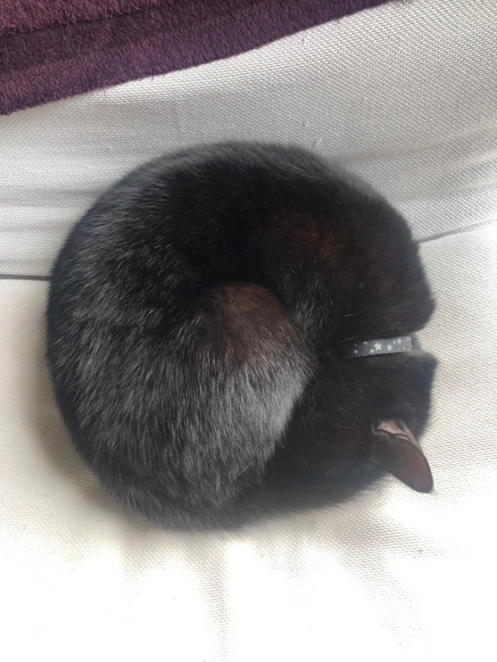 A perfect circle