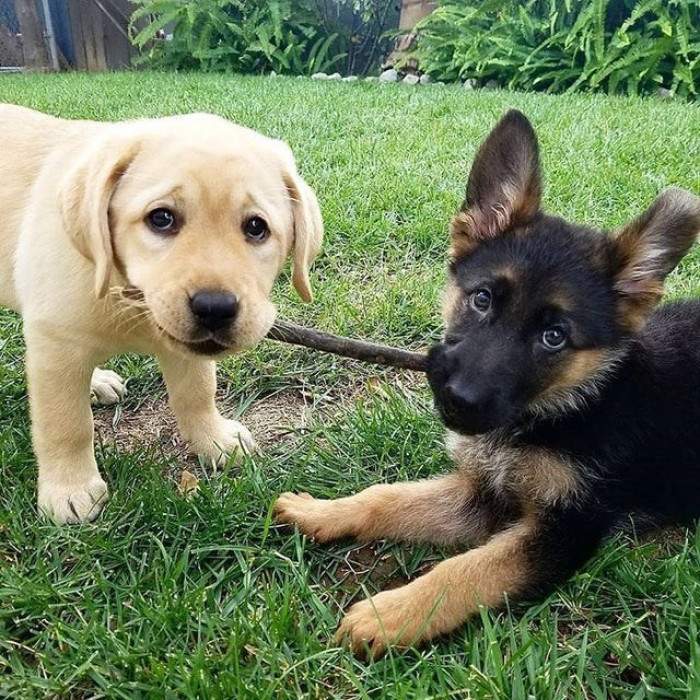 This is a branch manager and an assistant branch manager. Aren't they great at their jobs?