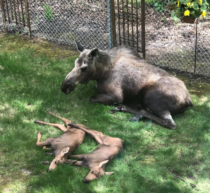 Just enjoying the sun