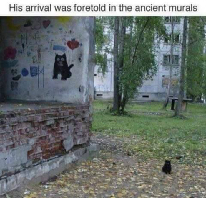 The Best Predictions Include Cats.