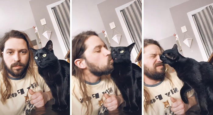 This cat bit back!