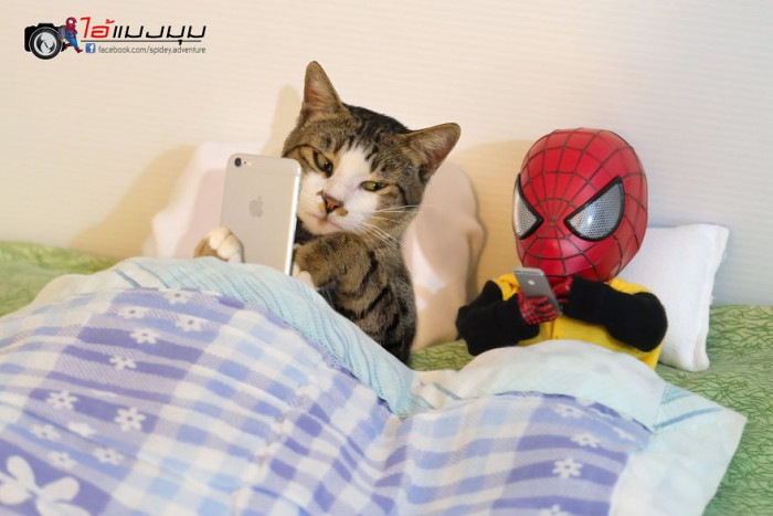 Cat-themed artwork featuring a Black Panther character, napping peacefully