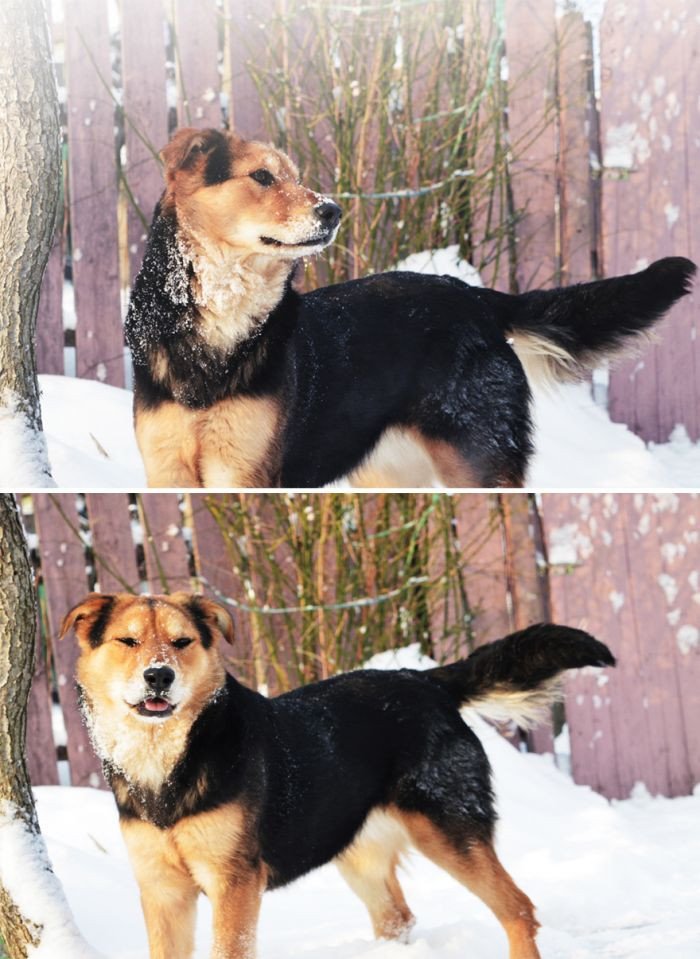 2. How did I look? Don't even answer that; I know I looked like a good boy.