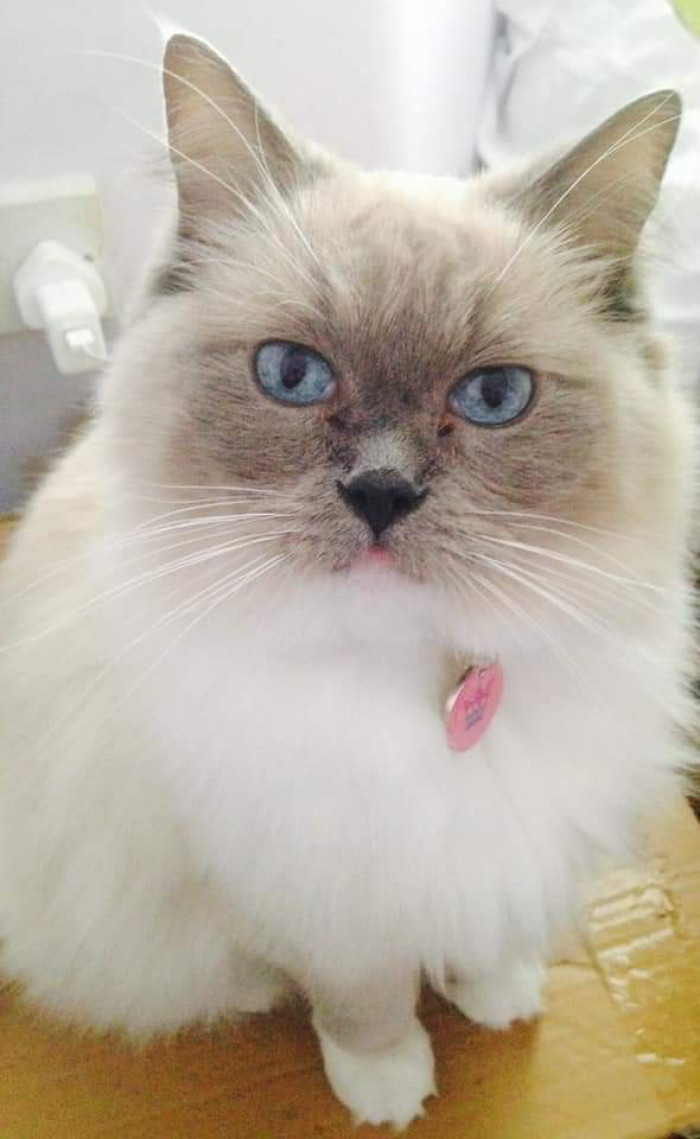 "My blue-eyed baby x"