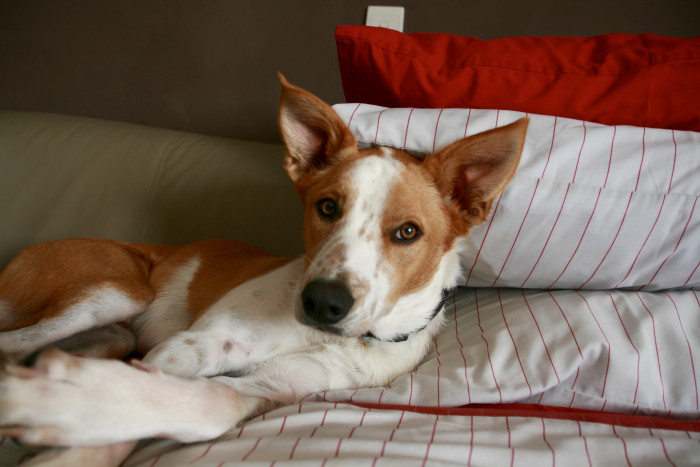 Memories and daily routines.