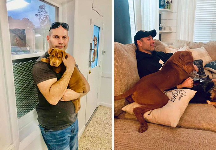 "Me: "Let’s go to the pound and check out some rescues just to pass the time""
