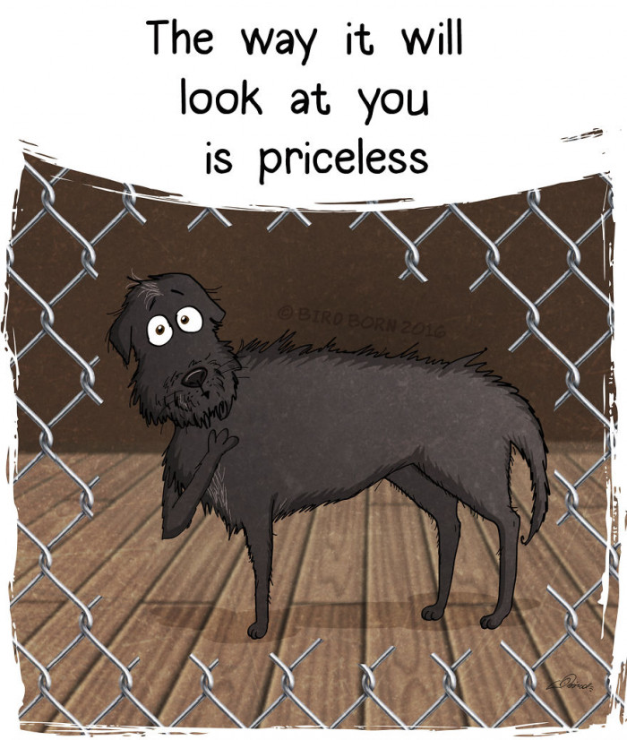 A pet's love is endless.