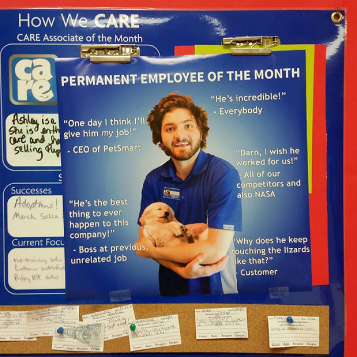 #6 Employee Of The Month