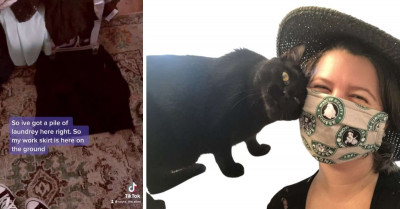 Woman Can't Find Her Cat And Starts To Panic, But Then She Finds Him Enjoying In The Laundry Pile