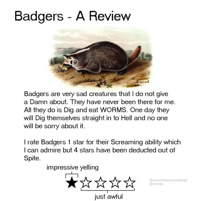Badgers - Let's just say they aren't that famous among humans
