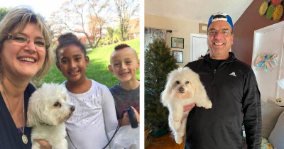 Woman Sends Her Husband to Pick Up Their Dog from the Groomers, but He Brings Back the Wrong Dog
