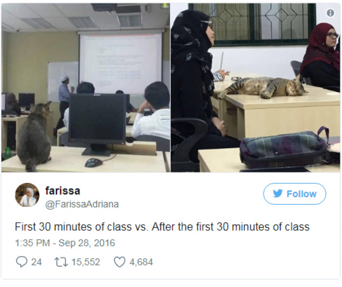 The internet enjoyed this too, posting some responses.