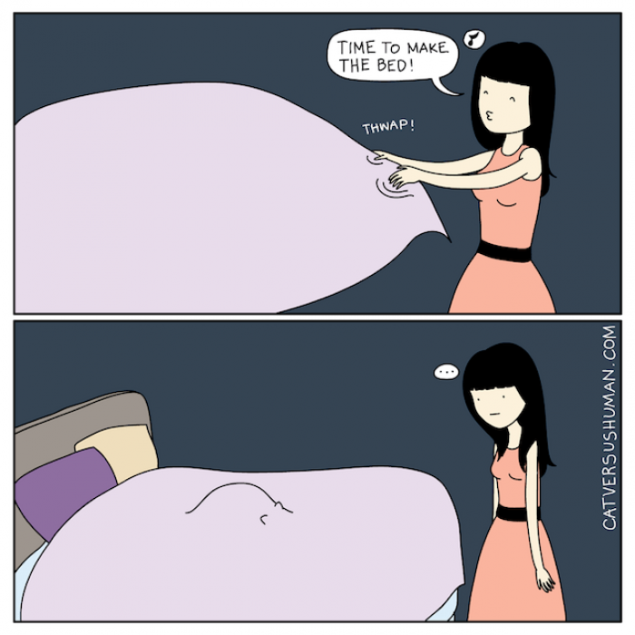 There Is Always a Cat Under Everything