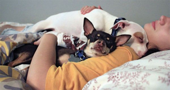 7. Need someone to snuggle with at night?