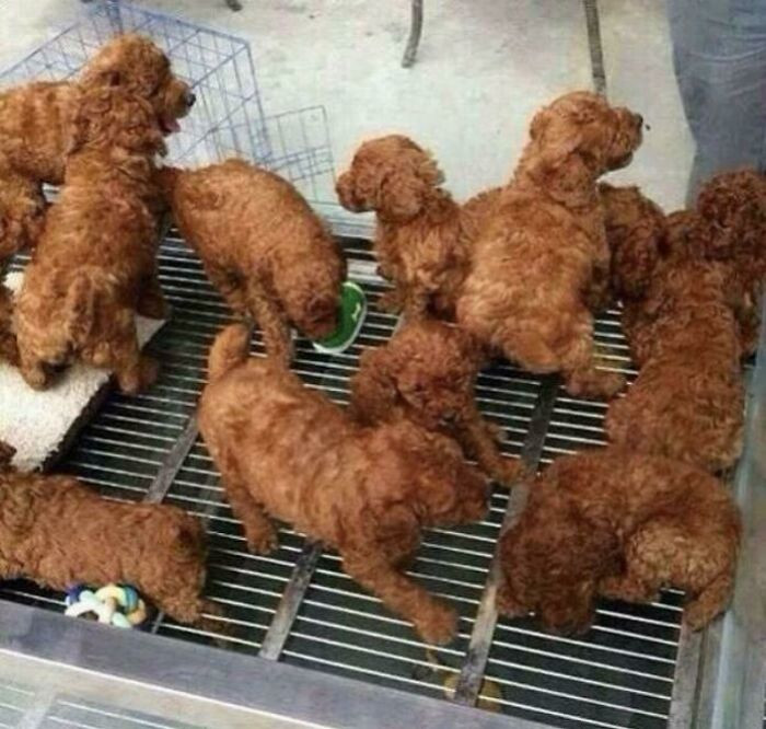 23. Fried Chicken