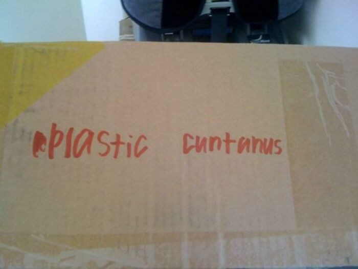 27. Favorite memory of my kid helping us move