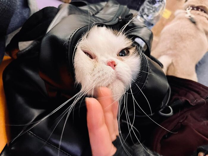 #10 Hey cutie, doing okay in there?