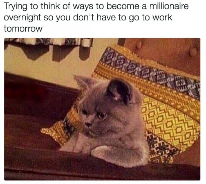 15. I always Google that