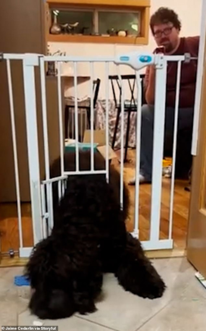 They were impressed with how Cassi found her way in; she's one clever dog.