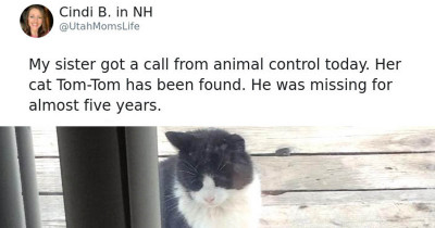 Cat Brought Home After Being Missing For 5 Years and Still Recognizes His Owner