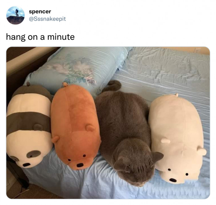 15. Blending in perfectly, completely undetected.