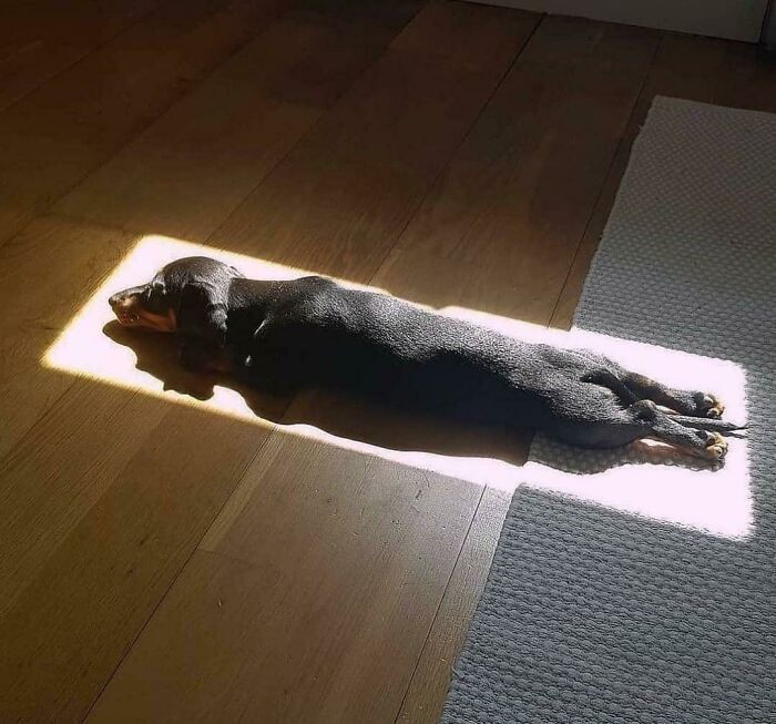 21. Go away; I'm photosynthesizing.