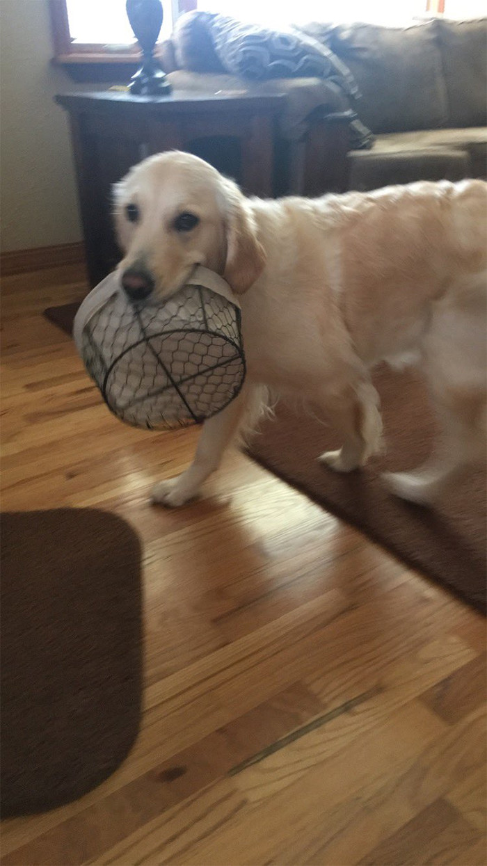 11. This is my basket now