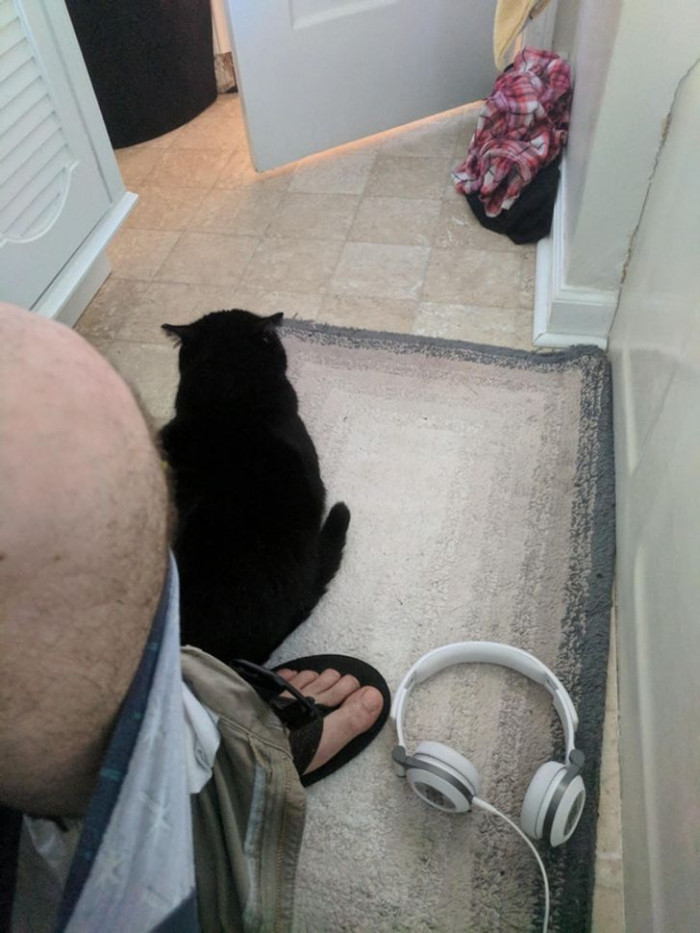 8. We told you that pets follow you everywhere—literally.