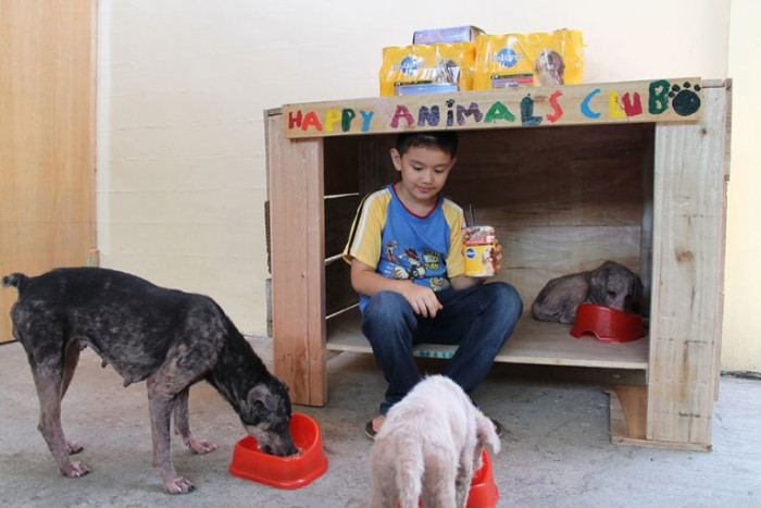 The Happy Animals Club started as a small kennel for the three dogs...