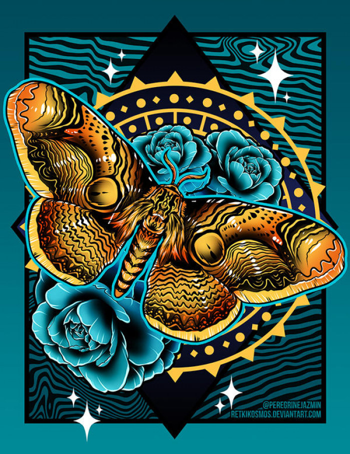 16. Indonesian Owl Moth