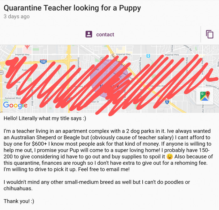 1. Looking for a puppy.
