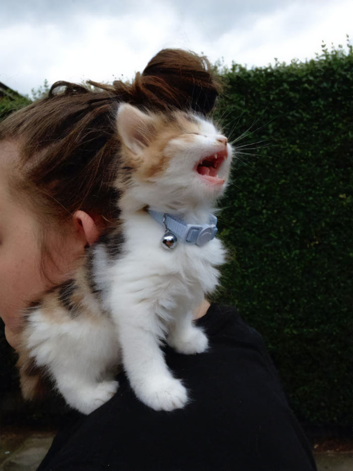 9. She Screams