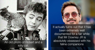 It Turns Out Iron-Man Has A Soft Spot For Cats