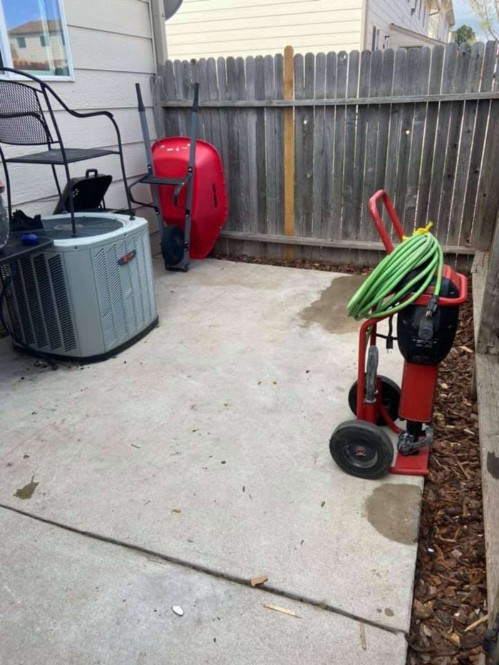 3. Recently, she bought a house with a patio so Bentley could have more space.