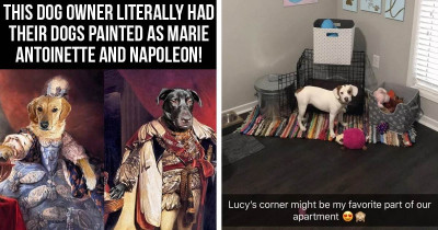 Dog Owners Who Raised The Bar So High They're Making The Rest Of Us Look Bad