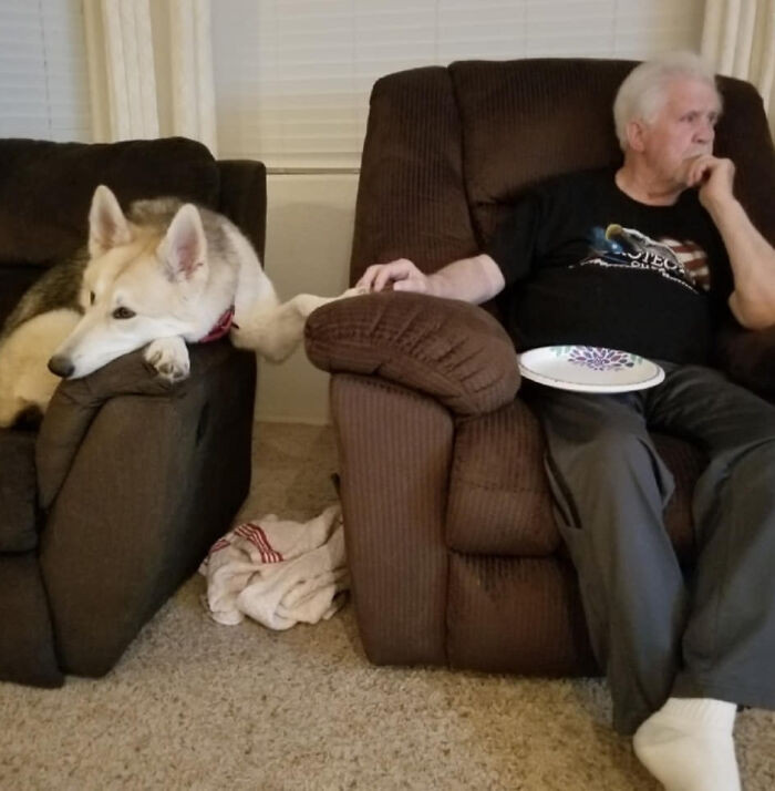 "My grandpa's dog had passed a few years back and he swore he wouldn't ever get or love another dog again..."