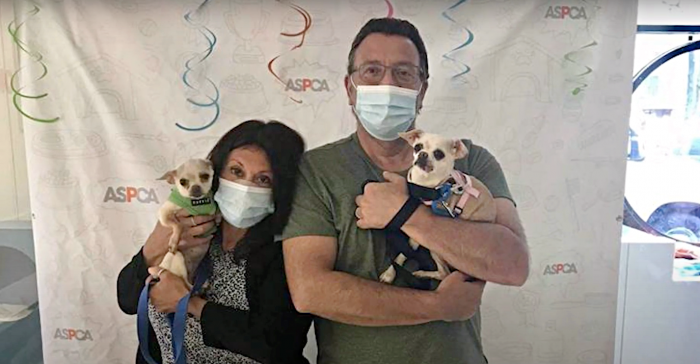 Jeanette was devastated when her beloved dog passed away. She felt lonely and asked God for a sign. That's when she saw two elderly dogs on the news.