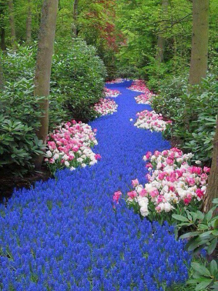 13. River of flowers—Netherlands