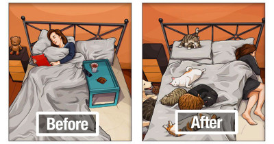 Taiwanese Artist Wonderfully Illustrated Life Changes After Getting A Pet