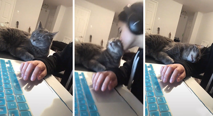 This cat is so good at expressing love!