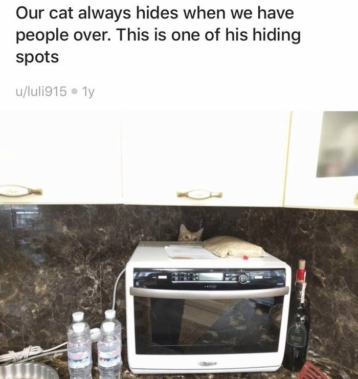 2. You gotta do what you gotta do.